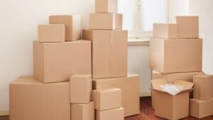 Packers and Movers Mayur Vihar