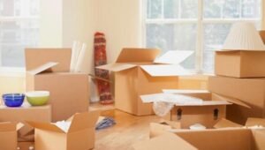 Packers and Movers Punjabi Bagh