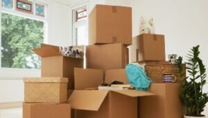 Packers and Movers Shalimar Bagh